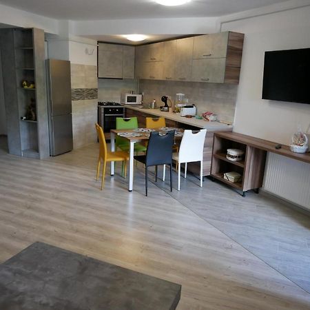 Riky Apart Mountain View Appartement Sinaia Buitenkant foto