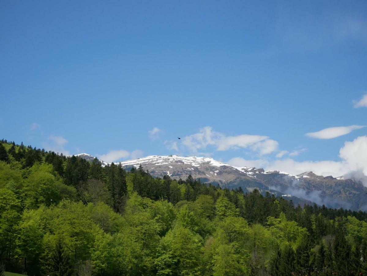 Riky Apart Mountain View Appartement Sinaia Buitenkant foto