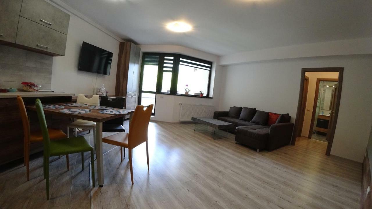 Riky Apart Mountain View Appartement Sinaia Buitenkant foto