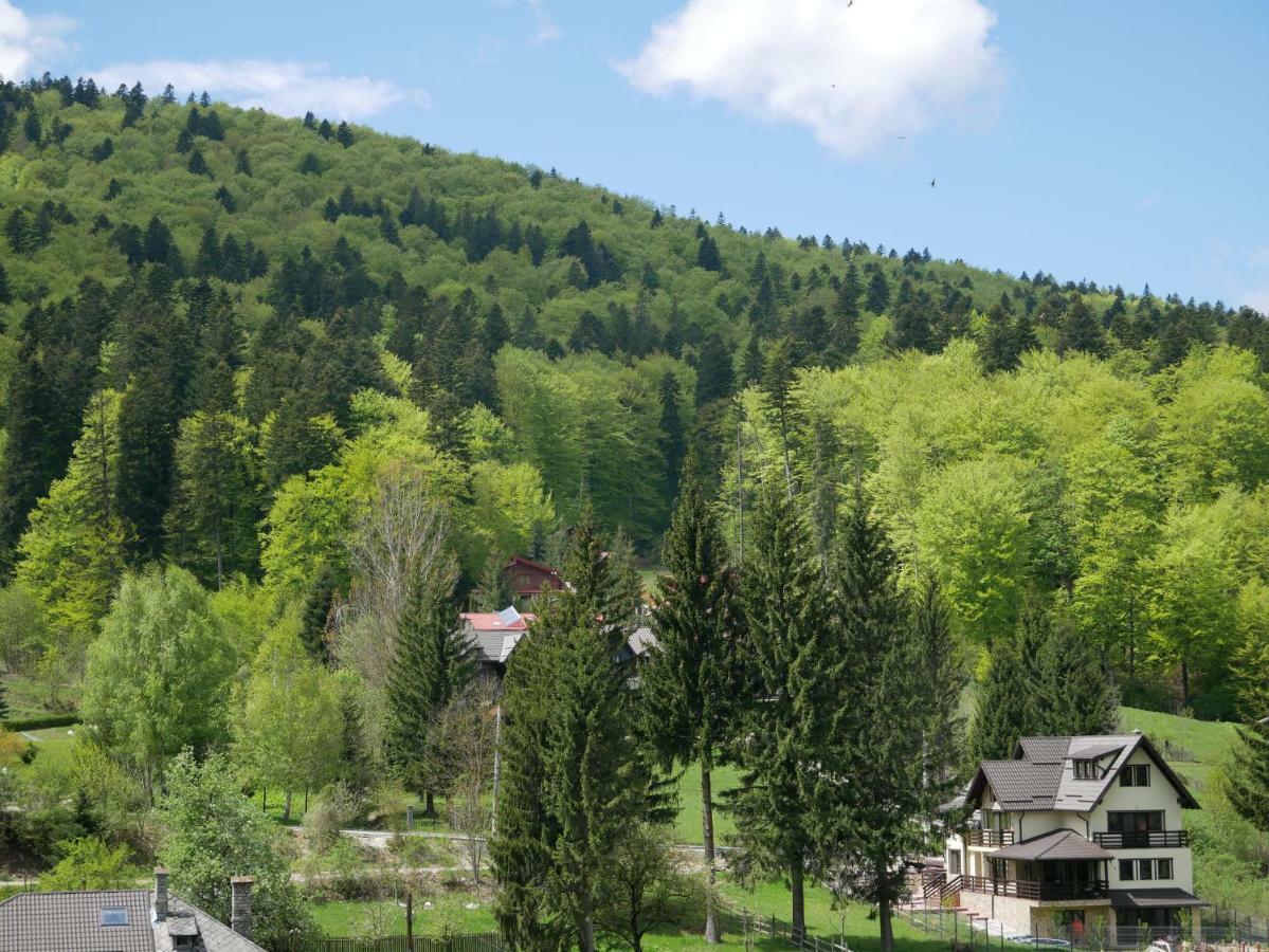 Riky Apart Mountain View Appartement Sinaia Buitenkant foto