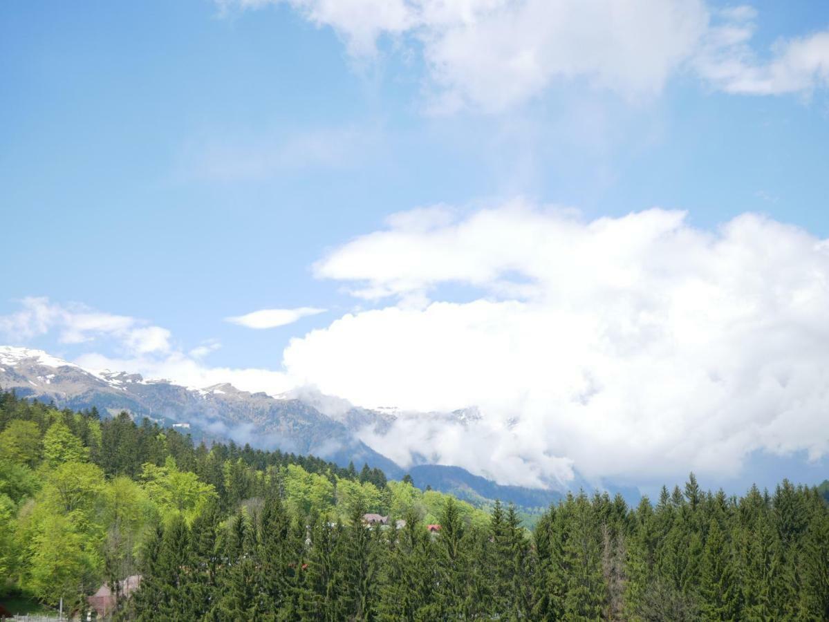 Riky Apart Mountain View Appartement Sinaia Buitenkant foto