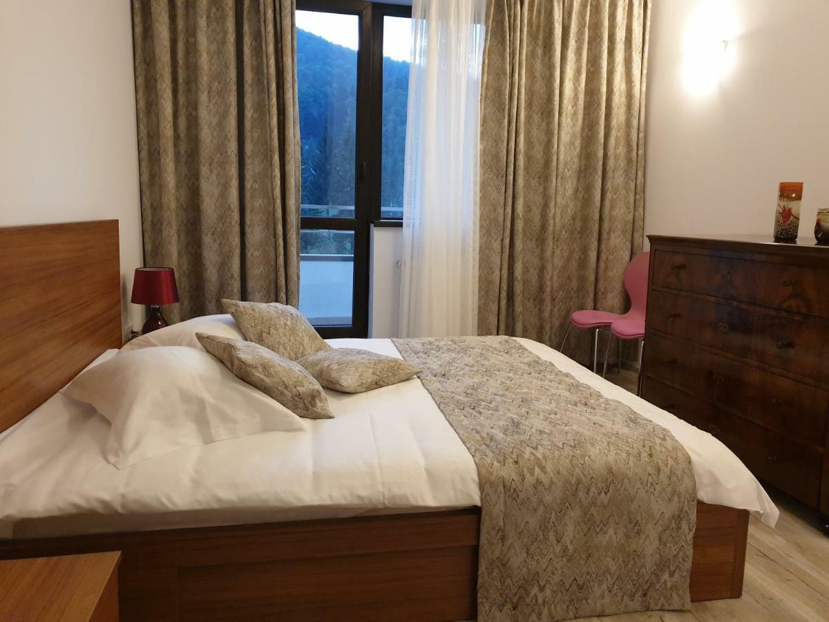 Riky Apart Mountain View Appartement Sinaia Buitenkant foto