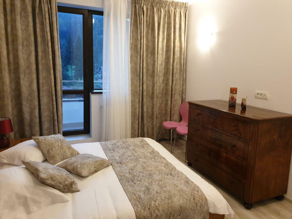 Riky Apart Mountain View Appartement Sinaia Buitenkant foto