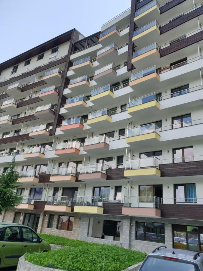Riky Apart Mountain View Appartement Sinaia Buitenkant foto