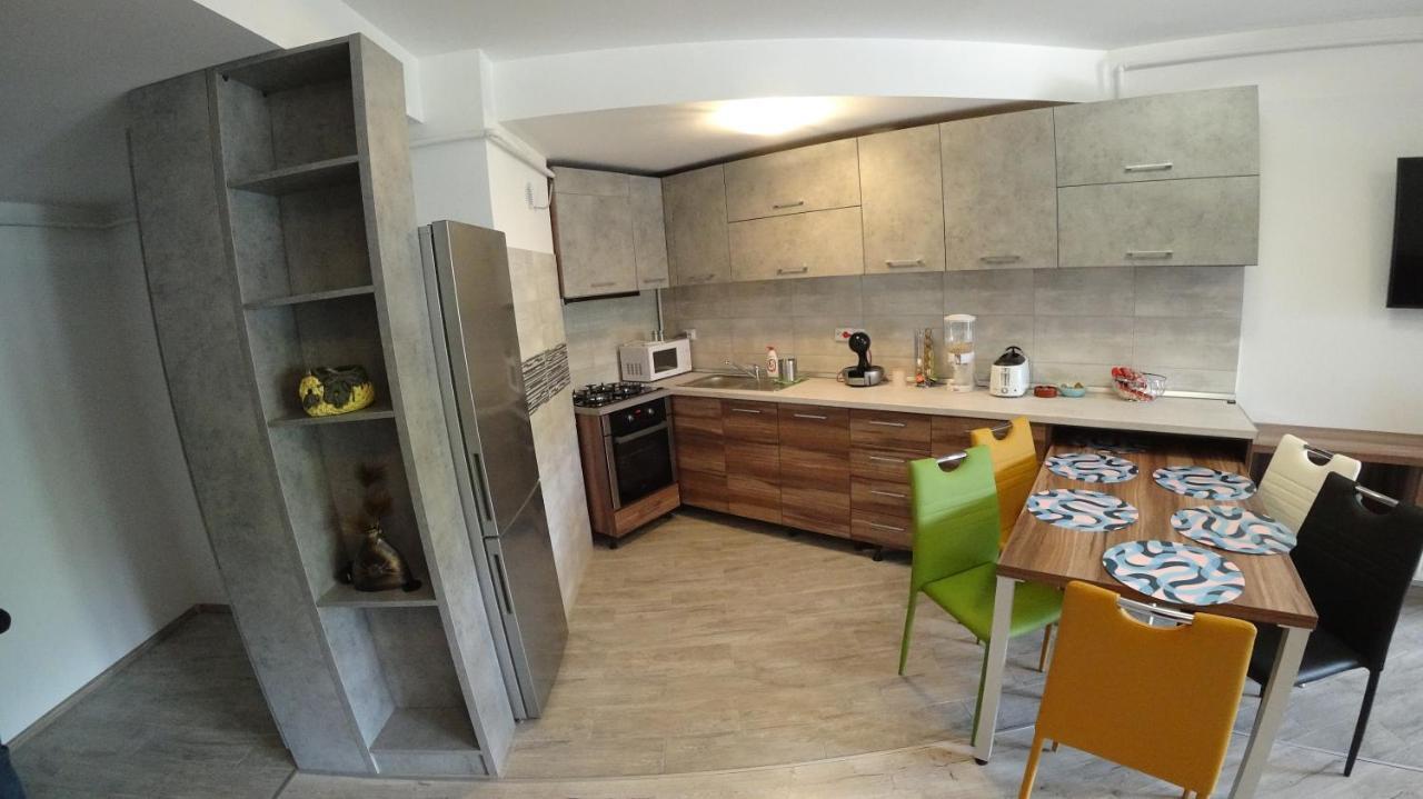 Riky Apart Mountain View Appartement Sinaia Buitenkant foto