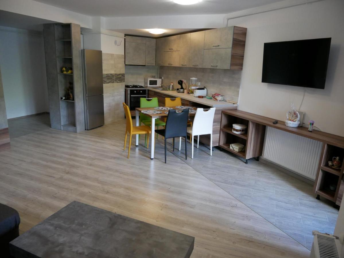Riky Apart Mountain View Appartement Sinaia Buitenkant foto