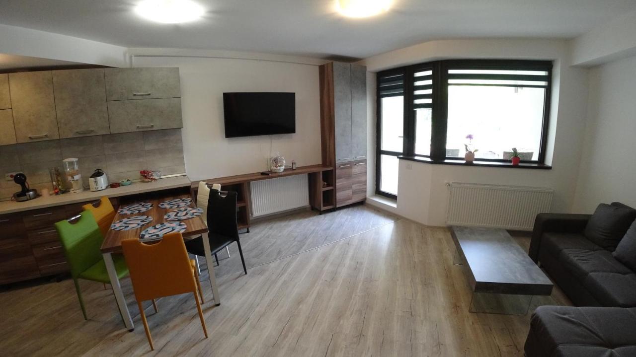 Riky Apart Mountain View Appartement Sinaia Buitenkant foto