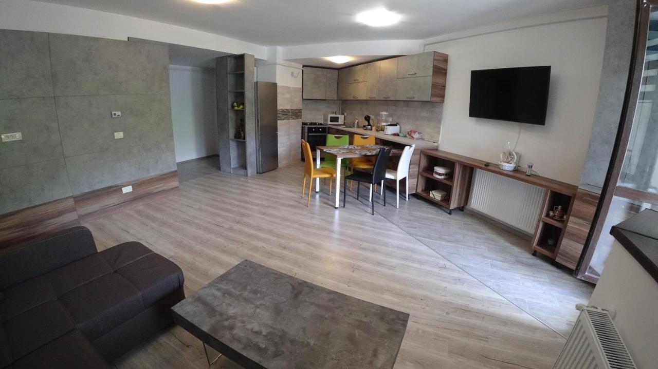 Riky Apart Mountain View Appartement Sinaia Buitenkant foto